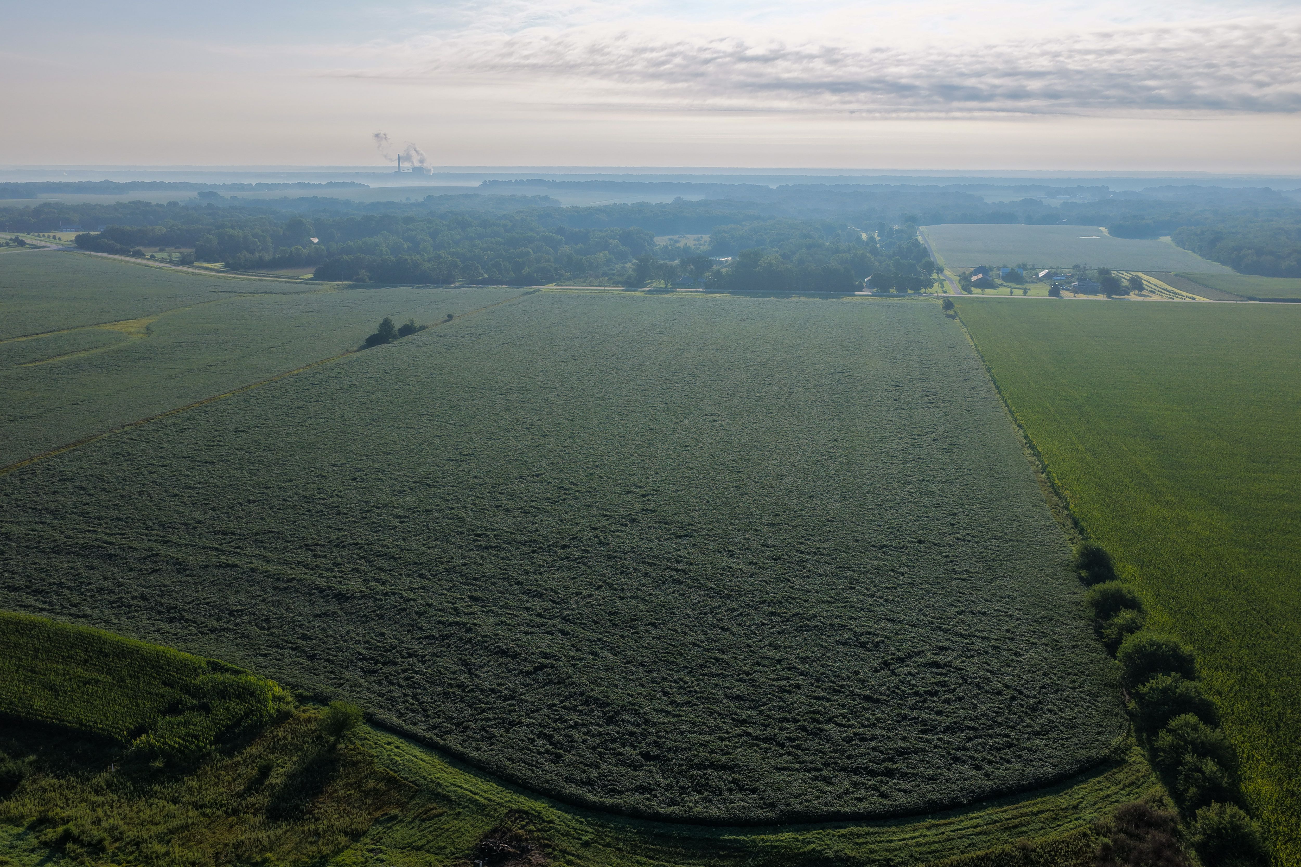 Listing Photo: 90 CSR2 Louisa County Farmland For Sale-34